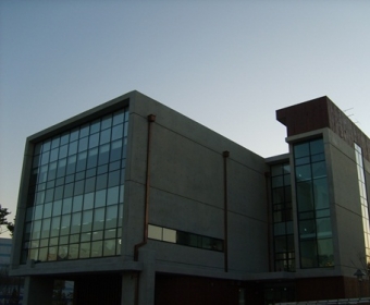  ���￡�̵𷺽�������