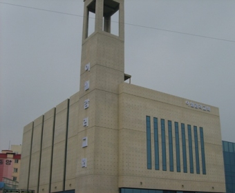  �����õ�̿���������