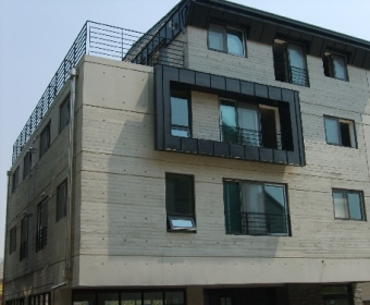  �Ⱦ�� ���絿 ����