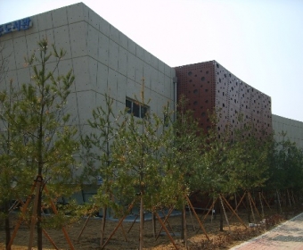  ������ ���ߵ� ������