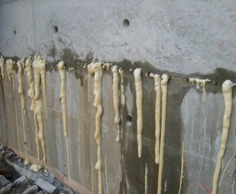 ��õ��ī�׶���