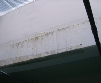 ���ֽ� ���Ͼ���Ʈ�桦